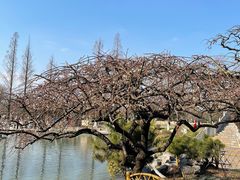 -玄武湖景区-情侣园游乐场