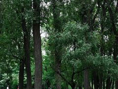 -二一九公园