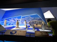 -贝林大翅鲸简餐厅(国家海洋博物馆店)