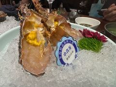 -东海怡品海鲜豆捞(舟宿夜江店)