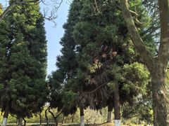 -白塘生态植物园