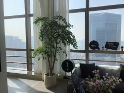 -JNK皮肤管理中心