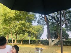 -橘洲1910花园江景西餐厅