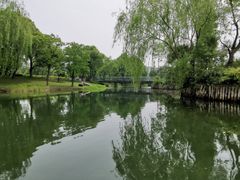 -尚贤河湿地