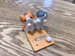 -藏猫猫咖啡主题馆(中央大道店)