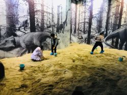 -恐龙探索乐园(磁器口店)