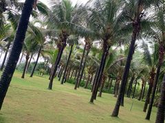 -味餐厅·海鲜·火锅·自助餐