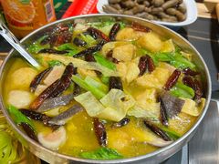 -板凳烧烤(东关街店)