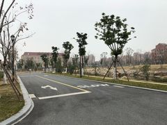 -浙江大学(海宁国际校区)