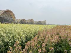 -中国天府农业博览园