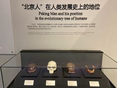 -北京周口店北京人遗址博物馆