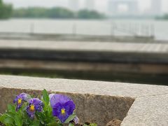 -渤公岛生态公园
