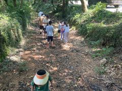-青龙山国家森林公园
