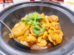 花胶鲍鱼鸡煲-顺德美的万豪酒店-万豪中餐厅