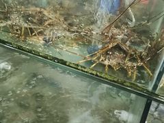 -岛中岛·海鲜大排档·万宁老字号(东澳店)