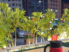 -蚝蚝先生·广式烧烤(信天广场店)