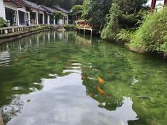 -姑婆山旅游区
