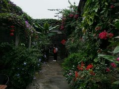 -老屋咖啡