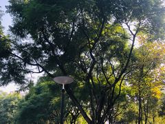 -重庆彩云湖湿地公园