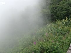 -白草畔自然风景区