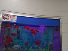 -雅悦齿科(顾村公园店)
