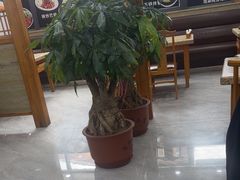 -真利味·脊骨火锅·正宗韩国料理(韩乐坊店)