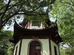 -上海佘山国家森林公园天马山园