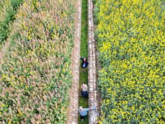 -中国天府农业博览园