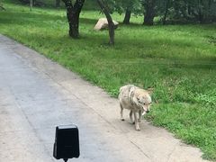 -西安秦岭野生动物园