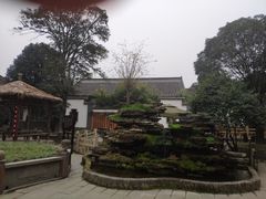 -郫都区农科村景区