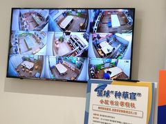 -斯坦星球AI编程·机器人科创·科学实验·信奥·思维·STEM·乐高·竞赛考级(长宁虹桥大融城荟聚中心)