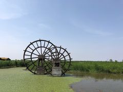 -宁波杭州湾国家湿地公园