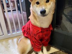 -猫色咖啡·猫咖