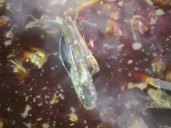 -金海椒罐罐鲢鱼(东方桂苑店)