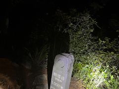 -梧桐山风景名胜区