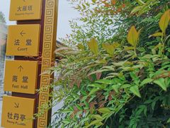 -大雁塔北广场音乐喷泉