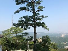 -高榜山景区