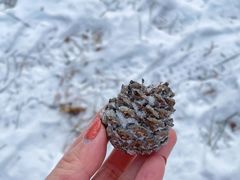 -帽儿山国家森林公园