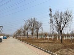 -甜心庄园·甜心草莓采摘园(西青中北店)
