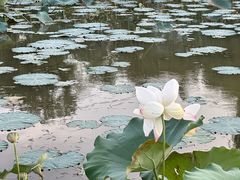 -上海怡沁园度假酒店
