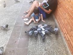 -清迈女子监狱马杀鸡(无分店)