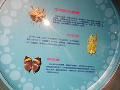 -萌宠奇缘