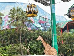 -广州长隆野生动物世界