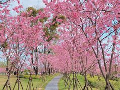 -福建鲤鱼洲酒店