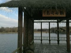 -溱湖国家湿地公园