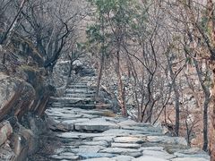 -北京鹫峰国家森林公园
