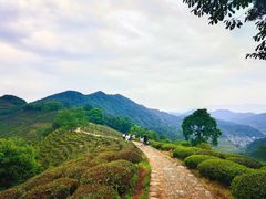 -西湖风景区十里琅珰-五云山