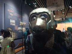 -广西壮族自治区博物馆