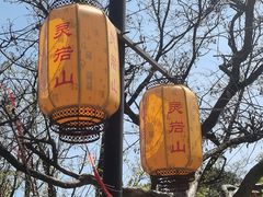 -灵岩山风景区
