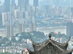 -南山植物园